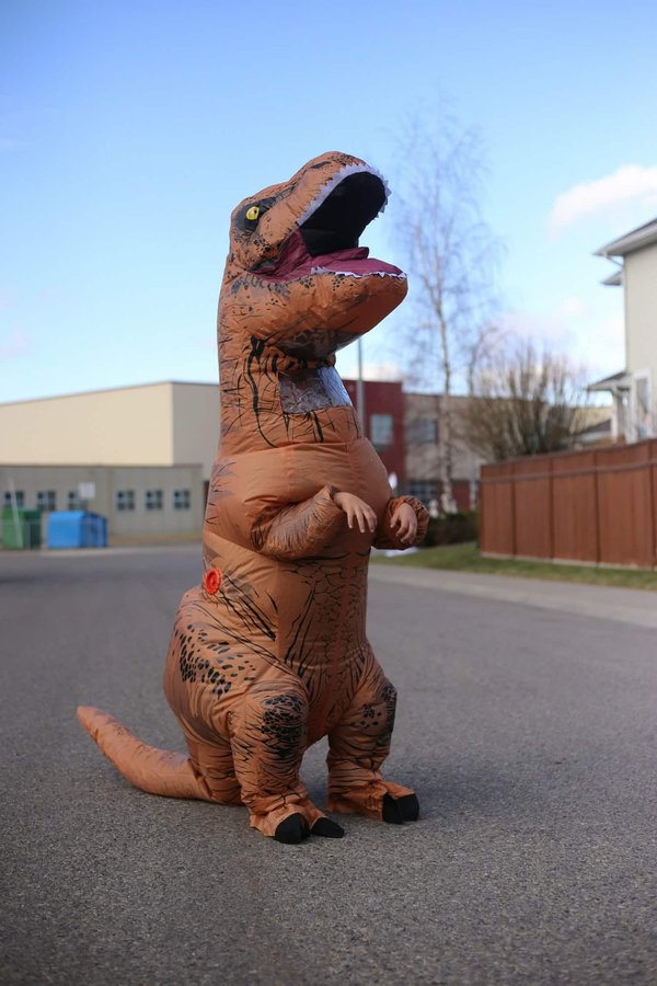 Déguisement gonflable : trouvez votre costume parfait en un clic